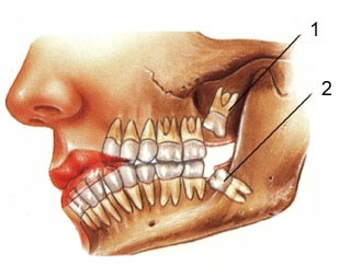 Dentística Restauradora e Estética - Oral Arte Odontologia